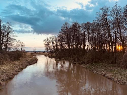 a river with a cloudy sky and some trees at Pokoje Gościnne Ewa Nowicka in Frombork