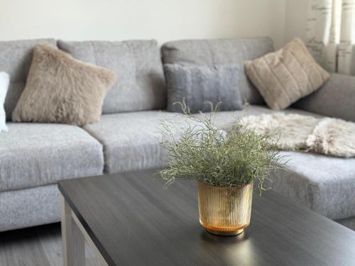 Ruang duduk di Appartement Moervig