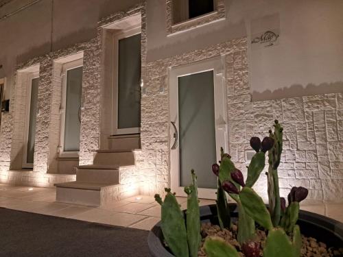 a cactus in a pot in front of a building at MÃE Apulian Rooms in Grottaglie
