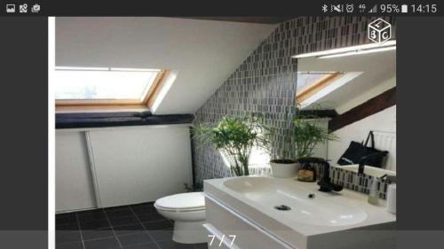 une salle de bain avec un lavabo et des toilettes et une fenêtre dans l'établissement Appartement de charme vue sur Loire, à Nantes