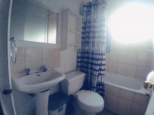 a bathroom with a sink and a toilet and a shower at Casa Valle Volcanes 3 Dormitorios in Puerto Montt