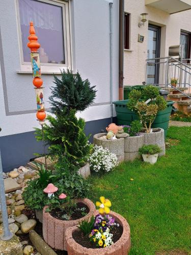 Monteurzimmer Beate Ackermannにある庭