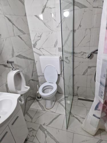 La salle de bains est pourvue de toilettes et d'une douche en verre. dans l'établissement Sobe - Nova Gradiška smještaj Auto Klarić, à Nova Gradiška