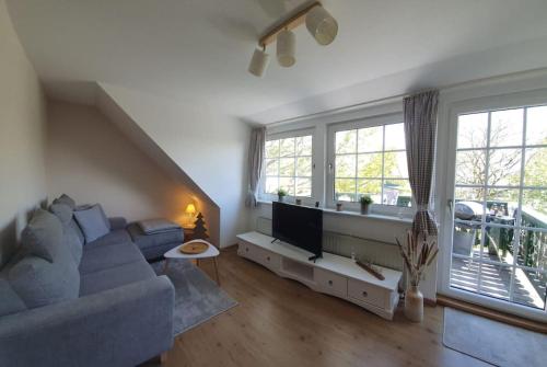 TV a/nebo společenská místnost v ubytování Ferienwohnung Merle in Winterberg-Altastenberg