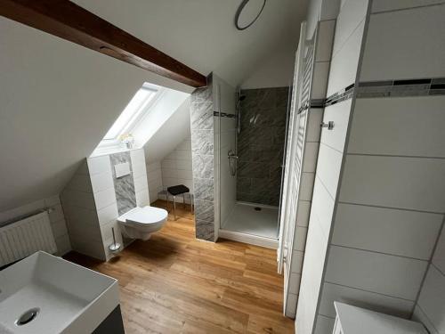 La salle de bains est pourvue de toilettes, d'une douche et d'un lavabo. dans l'établissement Landhaus-Ferienwohnung am Fluss, à Plattenburg