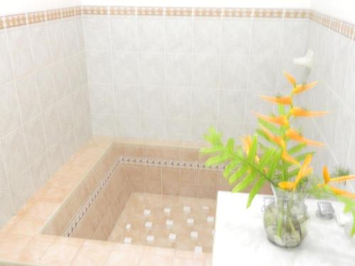 a bathroom with a tub and a vase with a plant at Splash Inn Nuevo Vallarta & Parque Acuatico in Nuevo Vallarta