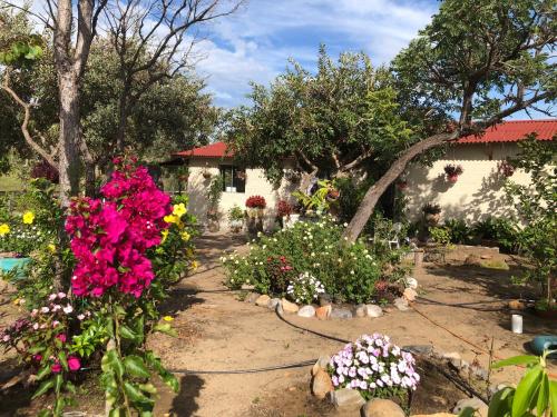 un giardino con fiori davanti a una casa di Maria Bonita Eco Pousada a Diamantina