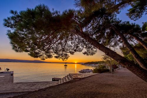 Sunčana obala - Sunny coast - 5 min walk to the beach