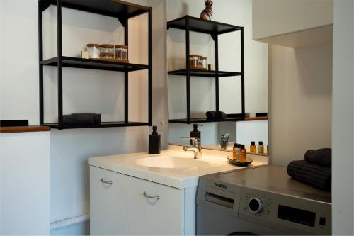 La salle de bains est pourvue d'un lavabo et d'un comptoir avec des étagères. dans l'établissement Appartement en bord de lac, à Aix-les-Bains