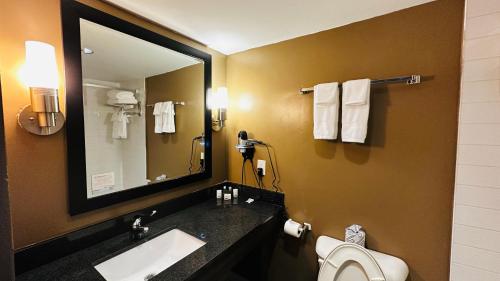 Bilik mandi di Ramada Plaza by Wyndham Niagara Falls