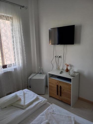 een slaapkamer met een bed en een tv aan de muur bij Pensiunea Apartamente 9 Sofia & David in Baile Felix