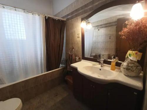 La salle de bains est pourvue d'un lavabo, d'un miroir et de toilettes. dans l'établissement Villa Alexandra Rio Patra, à Áyios Vasílios