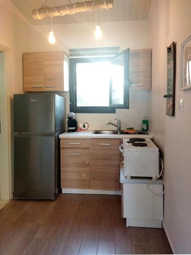 a kitchen with a stainless steel refrigerator and a sink at Green and Blue View in Elliniká
