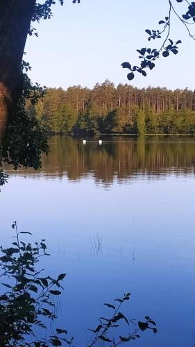 Landskap semula jadi dekat dengan lodge