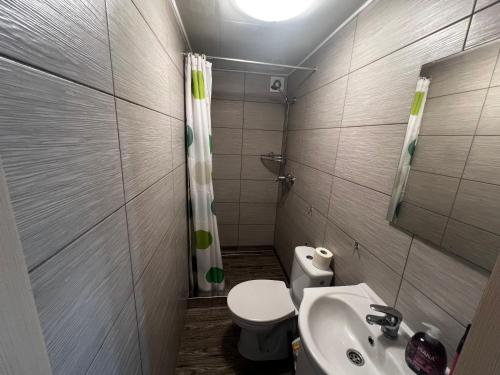 ブワディスワボボにあるDomki-Apartamenty HALSの小さなバスルーム(トイレ、シンク付)