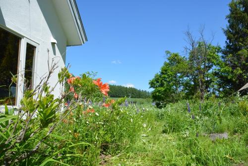 a field of flowers next to a house at 大人数の家族旅行に！BBQ(夏)/雪遊び(冬)/しゃぶしゃぶの鍋/カラオケ/Switch/映画も！ in Kami-furano
