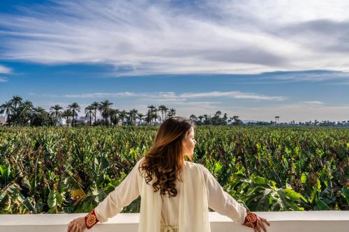 a woman standing on a fence looking at a corn field at Dar Lina Guesthouse Luxor in Luxor
