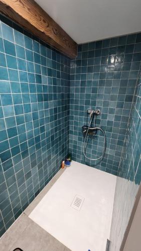 une salle de bain avec douche aux carreaux bleus dans l'établissement maison de village, à Lathuile