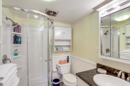 a bathroom with a shower and a toilet and a sink at Waterfront Port Clinton Cottage with Fire Pit! in Port Clinton