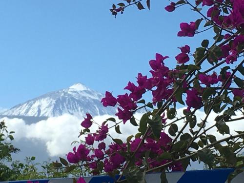 Ankerplatz - casa Juseli - Ruhe und Erholung