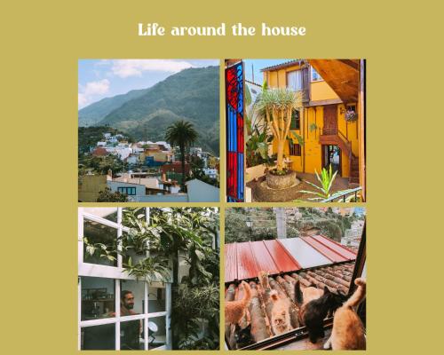 Gambar di galeri bagi Tulia Guesthouse & Coworking di Los Realejos