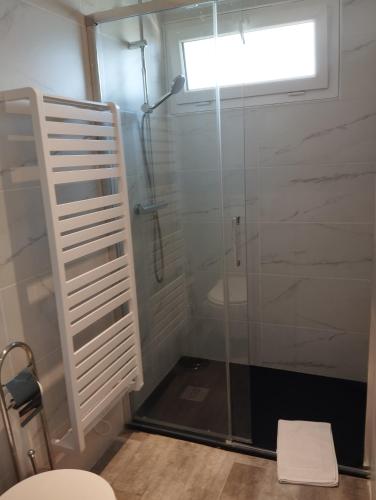 een badkamer met een glazen douche en een toilet bij Studio le pont de claix in Le Pont-de-Claix
