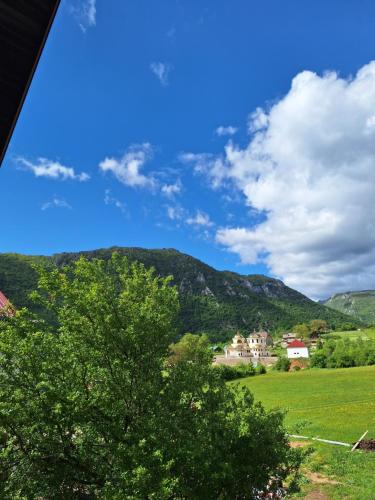 a view of a green field and a mountain at Apartmani Lena in Pluzine