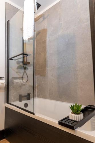 a bathroom with a shower and a plant on a counter at The Berriman Collection Stylish 2 Bedroom Apartment in Cardiff