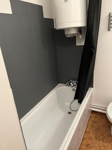 La salle de bains est pourvue d'une baignoire blanche et de toilettes. dans l'établissement Agréable studio avec très belle vue, à Bourbonne-les-Bains