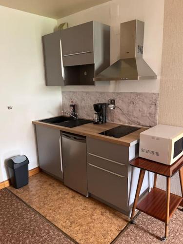 une cuisine avec un évier et un micro-ondes dans l'établissement Grand studio proche commerces, à Bourbonne-les-Bains