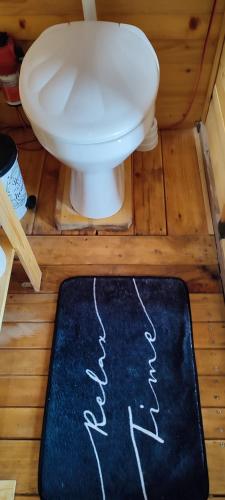 a bathroom with a toilet and a black rug at Splav Wake at the lake in Gaočići