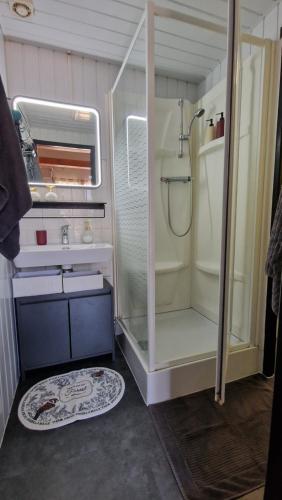 La petite salle de bains est pourvue d'une douche et d'un lavabo. dans l'établissement Chalet bord de lac avec piscine N2E, à Laffrey