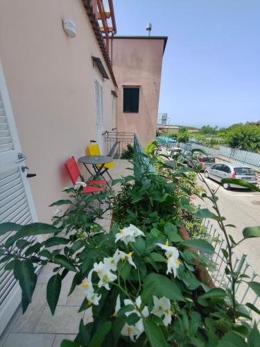 a balcony with white flowers on a building at Camelia Vico Equense in Vico Equense