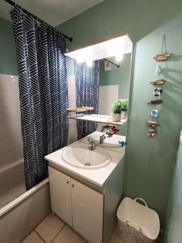 une salle de bain avec un lavabo, un miroir et une douche dans l'établissement Charmant studio en bord de mer, à Camiers