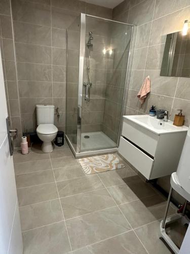 a bathroom with a shower and a toilet and a sink at La colmarienne in Colmar