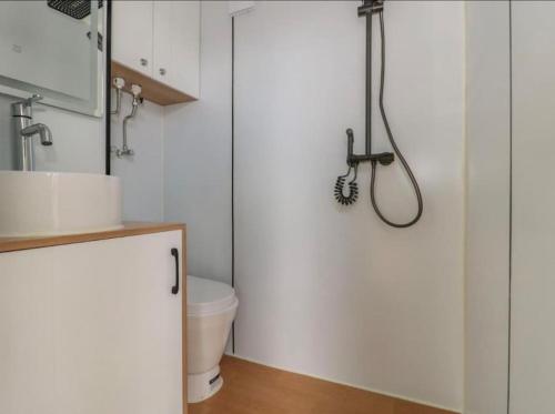 a bathroom with a shower and a toilet at Countryside Pod Retreat in Durston