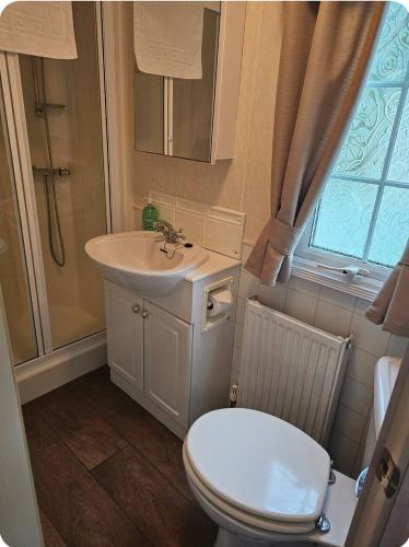 a bathroom with a sink and a toilet and a shower at PB6 in Bettws-Evan