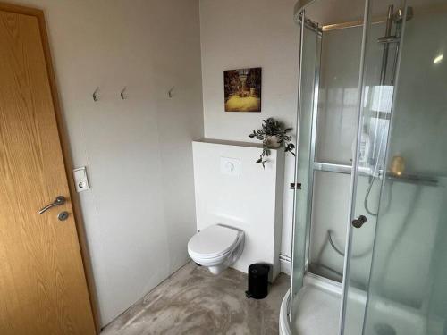 a white bathroom with a toilet and a shower at Black Valley apartment in Þóroddsstaðir