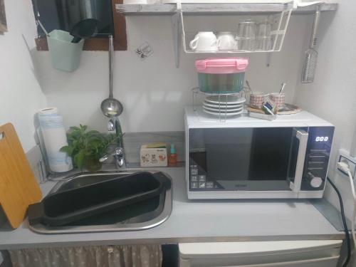um balcão de cozinha com um micro-ondas e um lavatório em La casa di Noah em Montecatini Terme
