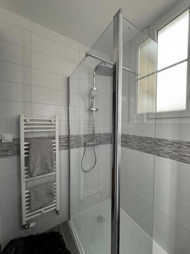 une douche avec une porte vitrée dans une salle de bain dans l'établissement Constantine Suits 21 - Appartement 4 personnes Dijon centre, à Dijon