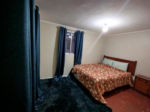a bedroom with a bed and a window with blue curtains at Casa Rosa Hostel in Santiago