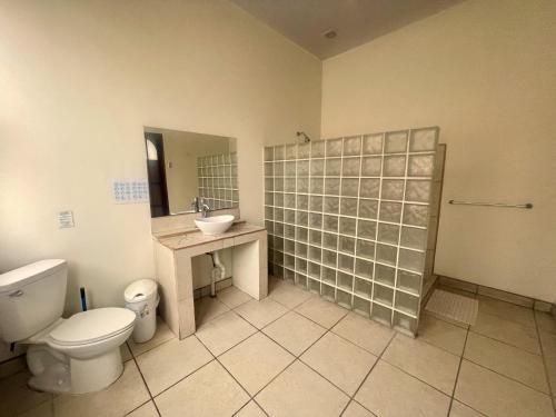 a bathroom with a toilet and a sink and a mirror at Costa Rica Guesthouse in San José