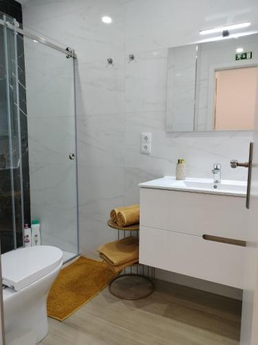 a bathroom with a toilet and a sink and a shower at Alojamento Andorinhas in Senhora da Hora