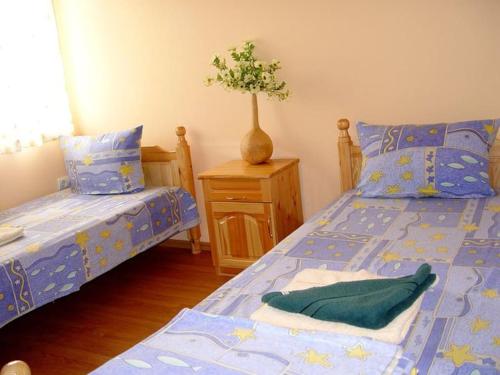 sypialnia z dwoma łóżkami i roślina na stoliku nocnym w obiekcie Granpa house w mieście Ruhovtsi