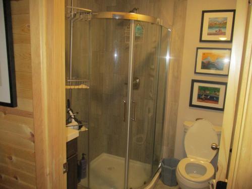 a bathroom with a shower and a toilet at SEWARD APARTMENT in Seward
