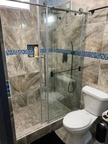 a bathroom with a glass shower with a toilet at Delta Alpha Apartments in Calliste Land Settlement