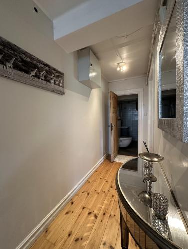 Кухня или кухненски бокс в Reykjavik Urban Escape 2-Bedroom Haven with Private Entrance