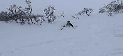 a person is skiing down a snow covered slope at Myoko Forest Lodge in Myoko