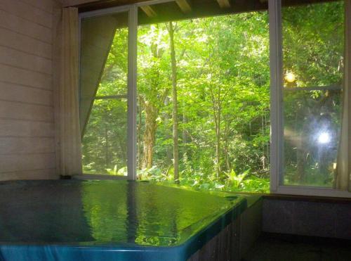 una gran ventana con bañera en una habitación con árboles en 乗鞍高原の宿テンガロンハットB&BTengallonhat, en Matsumoto