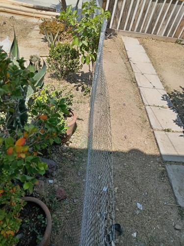 una recinzione a catena in un giardino con piante di Estudio 